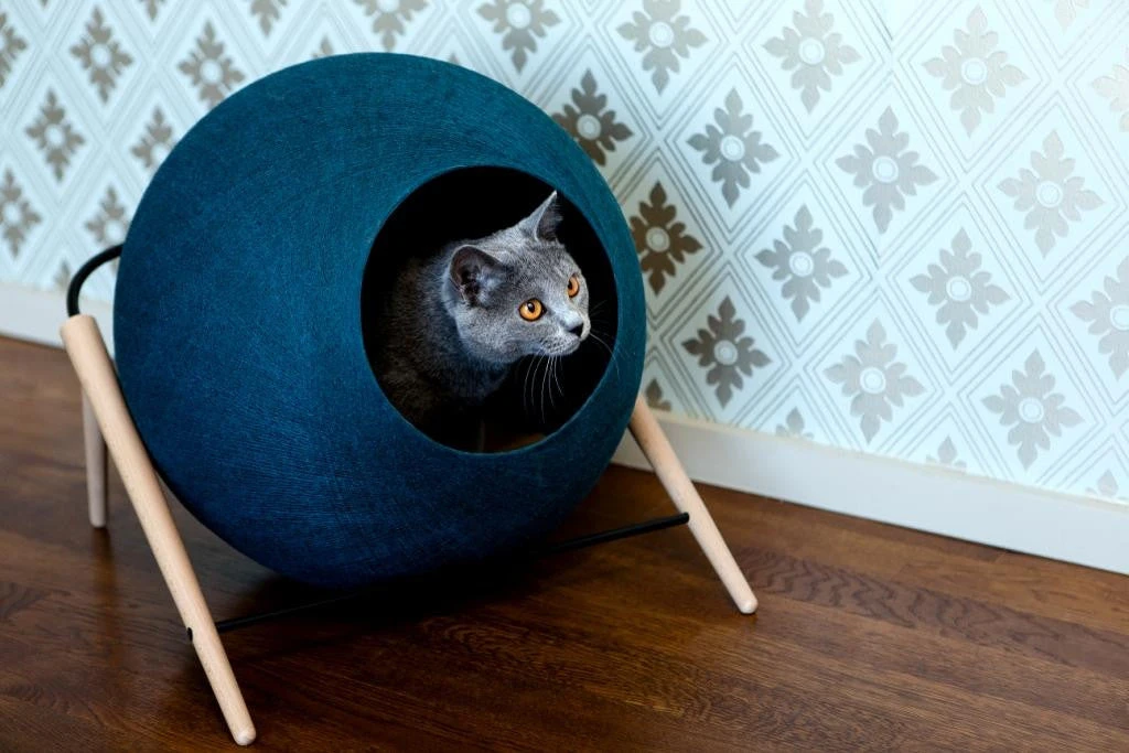 La Ball Meyou 3 La Ball Meyou