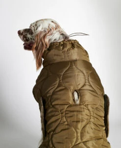 Doudoune Très Chaude Pour Chien -Hariet & Rosie 1207150261911 04 1080x1320 494822d2 a148 4476 9b9f 83493ca2541f