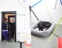 Panier Pour Chien Tweed Gris Clair Sleepy Deluxe 11 Panier Pour Chien Tweed Gris Clair Sleepy Deluxe -Hariet & Rosie 14 Julia Ali Mogli Cloud7 Dog Bed Sleepy Deluxe