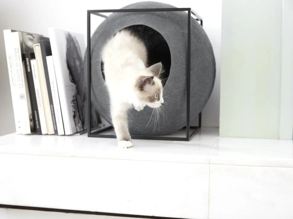 Le Cube Meyou 3 Le Cube Meyou