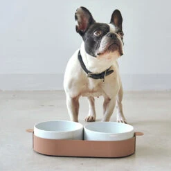 Bols Doubles Pour Chat Tavoletta 12 Bols Doubles Pour Chat Tavoletta -Hariet & Rosie 157657011 3749448261804525 2731050028069019296 o