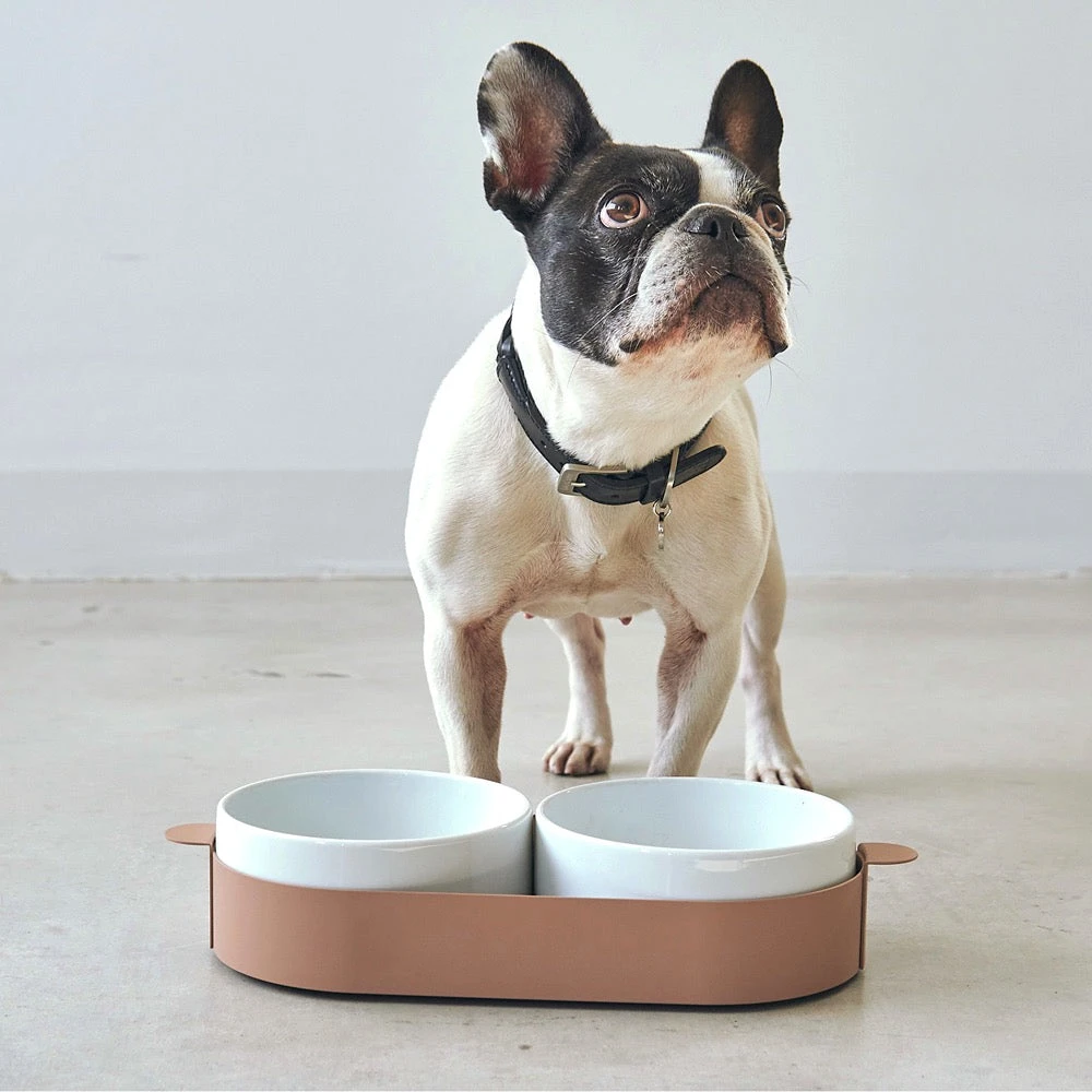 Bols Doubles Pour Chat Tavoletta 7 Bols Doubles Pour Chat Tavoletta – Image 5