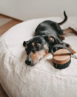 Brosse Pour Poils Courts Lila Loves It -Hariet & Rosie 161229030 4137278379657245 2517501273737839 n