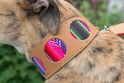 Collier Pour Chien Cuir Et Tissu Inca Pink 8 Collier Pour Chien Cuir Et Tissu Inca Pink -Hariet & Rosie 190517 Hiro Wolf Dumpton Gap May 19 08133 445x297 e0a59ce2 916f 4bf4 9cb8 7a77f000d292
