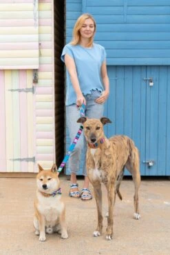 Laisse Inca Blue -Hariet & Rosie 190517 Hiro Wolf Dumpton Gap May 19 0158 1024x1024 909aa1fe 06d8 47bb b138 d008adbd890f