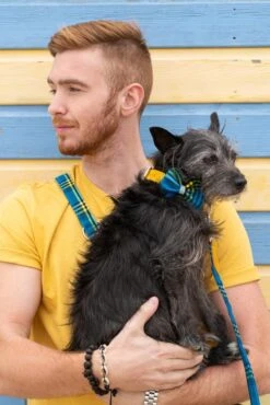 Noeud Papillon Pour Chien Shuka Blue 9 Noeud Papillon Pour Chien Shuka Blue -Hariet & Rosie 190517 Hiro Wolf Dumpton Gap May 19 0467 622x932 cf9d41d6 fee3 49b4 9bd2 1990451ae7ae