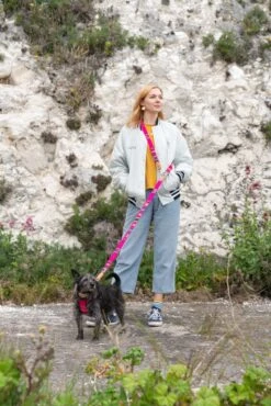 Laisse Inca Pink 10 Laisse Inca Pink -Hariet & Rosie 190517 Hiro Wolf Dumpton Gap May 19 0717 1024x1024 a523d607 4e08 45b3 9a31 b2bc34caf89b