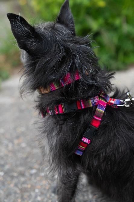 Harnais Pour Chien Inca Pink 8 Harnais Pour Chien Inca Pink – Image 6