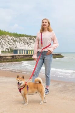 Laisse Shuka Red Tartan -Hariet & Rosie 190517 Hiro Wolf Dumpton Gap May 19 1218 1024x1024 73028475 ce69 4ec8 8e61 75e5d671fb3e