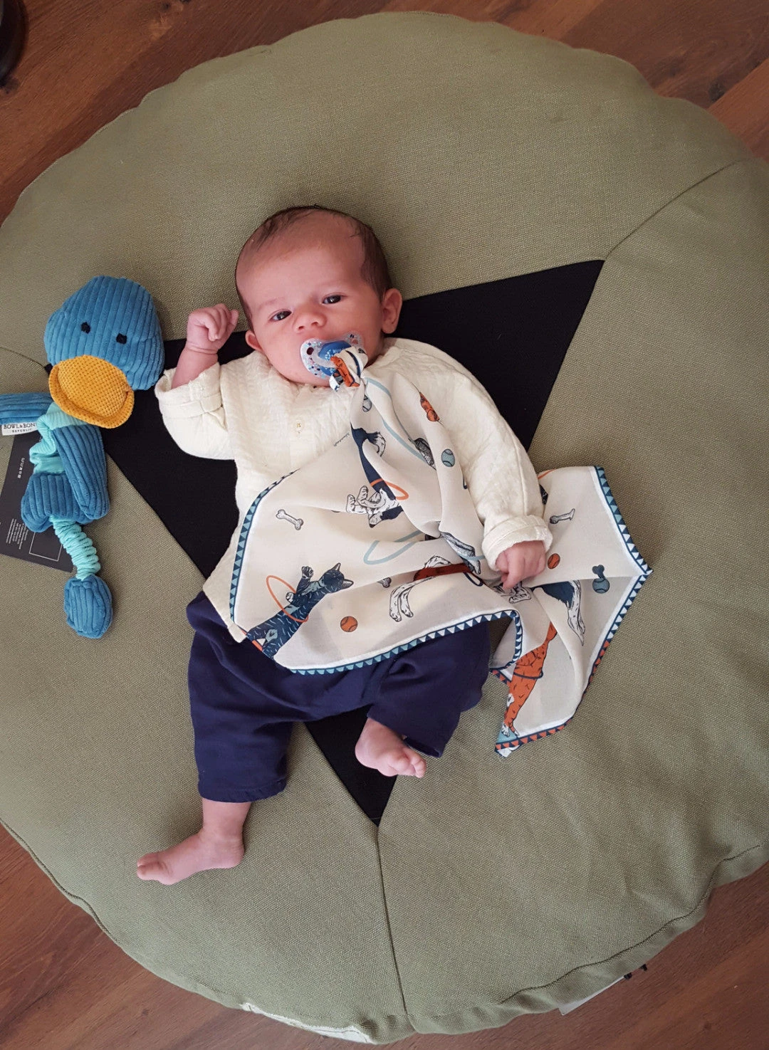 Le Carré Pour Cat Et Doglover 6 Le Carré Pour Cat Et Doglover – Image 4