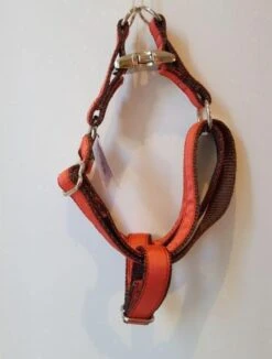 Harnais Parachute Uni Rouge Strawberry -Hariet & Rosie 20180223 120531 Copie