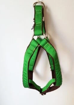 Harnais Parachute Uni Vert Forest