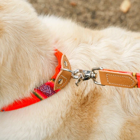 Collier Pour Chien Cuir Et Tissu Inca Orange 4 Collier Pour Chien Cuir Et Tissu Inca Orange – Image 2