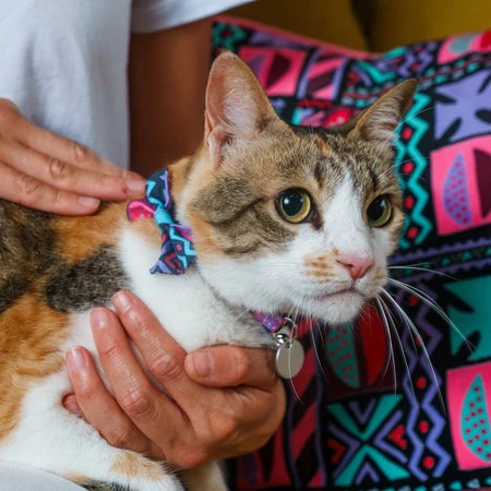 Noeud Papillon Pour Chat Mud Cloth 5 Noeud Papillon Pour Chat Mud Cloth – Image 3