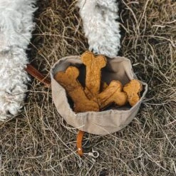 Bol De Voyage Pour Chien Pliable Melo Band & Roll -Hariet & Rosie 244643768 2962370390642316 8361220037470814286 n