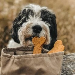 Bol De Voyage Pour Chien Pliable Melo Band & Roll -Hariet & Rosie 244670726 2962370393975649 4449451581056655728 n