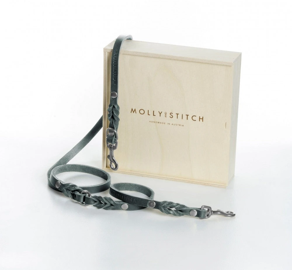 Laisse En Cuir Pour Chien Souple Réglable (2x) 14 Laisse En Cuir Pour Chien Souple Réglable (2x) – Image 12