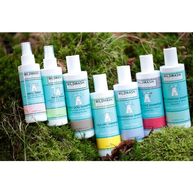 Shampoing Pour Chien Sale Et Malodorant- Menthe Et Citronelle Wildwash Pet 4 Shampoing Pour Chien Sale Et Malodorant- Menthe Et Citronelle Wildwash Pet – Image 2