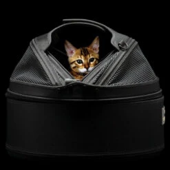Panier De Transport Pour Chien Et Chat - SLEEPYPOD -Hariet & Rosie 3690 Panier de transport pour chien et chat SLEEPYPOD