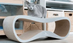 Griffoir Pour Chat Design LUI My Kotty 25 Griffoir Pour Chat Design LUI My Kotty -Hariet & Rosie 3 lui grey banner min