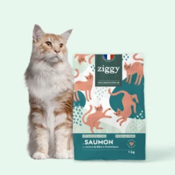 Croquettes Chat Stérilisé Sans Céréales Au Saumon -Hariet & Rosie 41