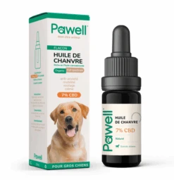 Huile De CBD Pour Chien 2,5%, 5%, 7% -Hariet & Rosie 7 grandschiens 500x 1d0a472c 2a41 4d87 b702 538f89472c92