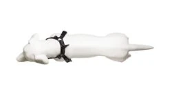 Harnais De Running Pour Chien 13 Harnais De Running Pour Chien -Hariet & Rosie 9 720x 2087cd03 3f6e 45b5 afb2 f2ecd4872910