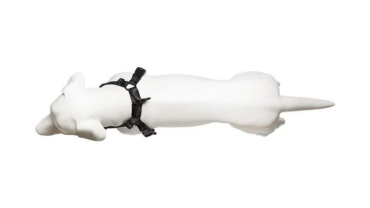 Harnais De Running Pour Chien 7 Harnais De Running Pour Chien – Image 5