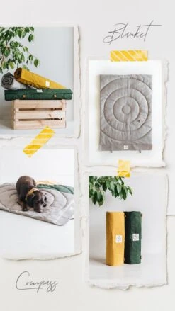 Matelas De Voyage Pour Chien Enroulable Compass Band & Roll -Hariet & Rosie Blanket Compass 720x da4f3e9e f6b1 47d1 8428 b3ce94ab3a54