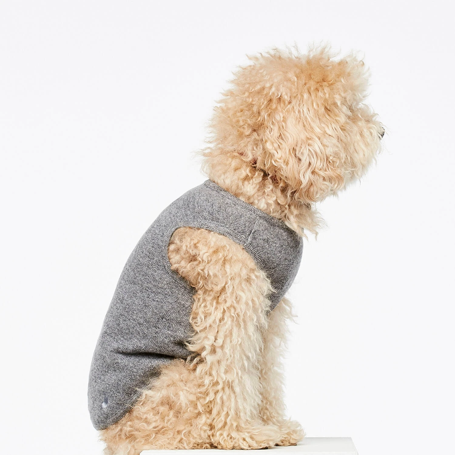 Pull Fin Pour Chien Agnes 4 Pull Fin Pour Chien Agnes – Image 2