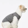 Body Pour Chien Josef -Hariet & Rosie Body liso Josef Plain body Josef grey 2