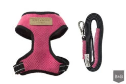 Harnais Candy Avec Laisse -Hariet & Rosie BowlAndBone Republic harness for dog CANDY set pink PS1S