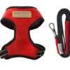 Harnais Candy Avec Laisse 2 Harnais Candy Avec Laisse -Hariet & Rosie BowlAndBone Republic harness for dog CANDY set red PS1S