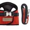 Harnais Soho Avec Laisse -Hariet & Rosie BowlAndBone Republic harness for dog SOHO set PS1S