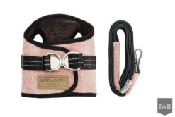 Harnais Soho Avec Laisse -Hariet & Rosie BowlAndBone Republic harness for dog SOHO set rose PS1S