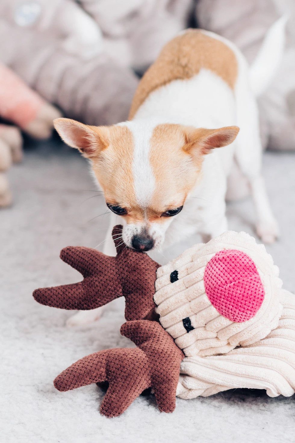 Jouet Pour Chien Stimulant Toffie 4 Jouet Pour Chien Stimulant Toffie – Image 2