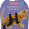 Harnais Et Laisse à Pois Pour Chaton -Hariet & Rosie CH4202 Spotty Black Kitten Harness LR