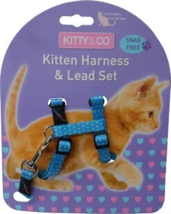 Harnais Et Laisse à Pois Pour Chaton 10 Harnais Et Laisse à Pois Pour Chaton -Hariet & Rosie CH4202 Spotty Blue Kitten Harness LR