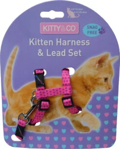 Harnais Et Laisse à Pois Pour Chaton 13 Harnais Et Laisse à Pois Pour Chaton -Hariet & Rosie CH4202 Spotty Pink Kitten Harness LR