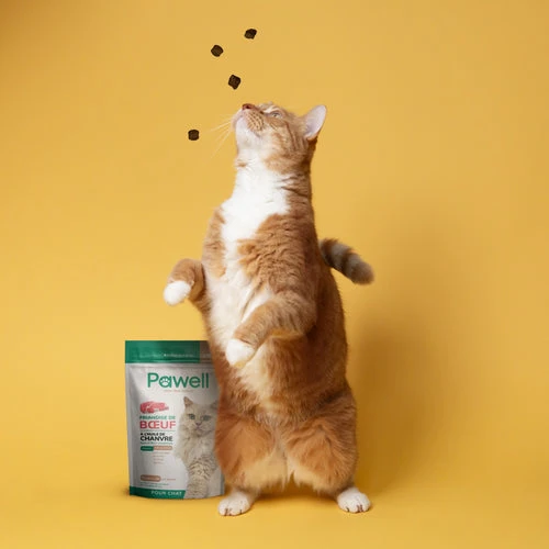 Friandises Au CBD Pour Chat 4 Friandises Au CBD Pour Chat – Image 2