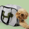 Sac De Transport Pour Petit Chien Mesh