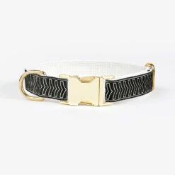 Laisse Pour Chien Chef L’Bark Noir Et Crème -Hariet & Rosie Collar Brass ChefLBark BlackCream 8ce324f1 d890 4f8e 9091 5c13b0703791