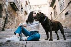 Laisse Pour Chien Gosol -Hariet & Rosie DSC5361copie