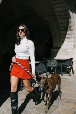 Collier Pour Chien Riells -Hariet & Rosie DSC5857 copie