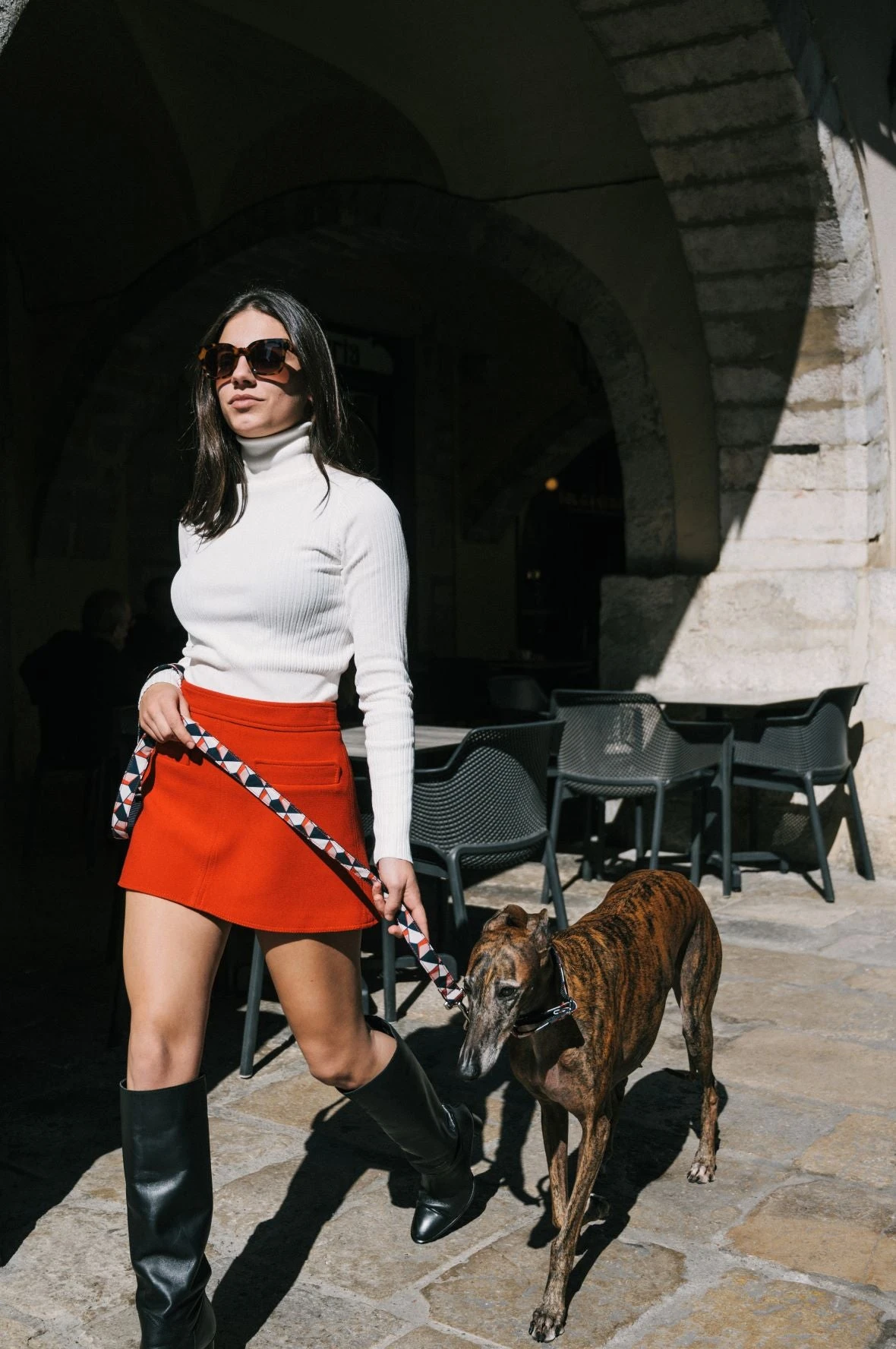 Laisse Pour Chien Riells 6 Laisse Pour Chien Riells – Image 4