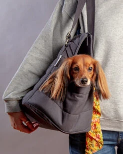 Sac De Transport Pour Chien (max 15kg) 19 Sac De Transport Pour Chien (max 15kg) -Hariet & Rosie Dog Co 1C5A2503 1024x1024 ec76c171 e2f0 4f46 aef7 454befbacd88