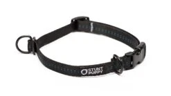 Collier Pour Chien Souple Everyday (3 Couleurs) 14 Collier Pour Chien Souple Everyday (3 Couleurs) -Hariet & Rosie EverydayCollar Black S 1024x1024 3883af02 dbcc 4dd6 acf5 6b6043970af1
