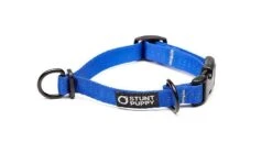 Collier Pour Chien Souple Everyday (3 Couleurs) 17 Collier Pour Chien Souple Everyday (3 Couleurs) -Hariet & Rosie EverydayCollar Blue XS 900x 5d1fc4cd 2695 419c 81e3 42adef634964