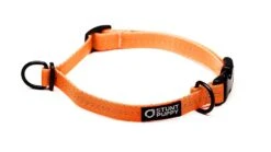Collier Pour Chien Souple Everyday (3 Couleurs) 15 Collier Pour Chien Souple Everyday (3 Couleurs) -Hariet & Rosie EverydayCollar Orange S 1 1024x1024 4c62ccc6 55f9 41d9 ac4d eb1bb2ae318b