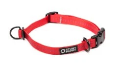 Collier Pour Chien Souple Everyday (3 Couleurs) 13 Collier Pour Chien Souple Everyday (3 Couleurs) -Hariet & Rosie EverydayCollar Red S 1024x1024 c7cfbc1e 0673 45f8 a9f4 159c792adb7c